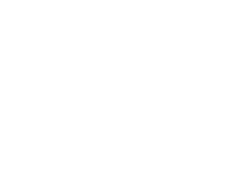 DPS Group