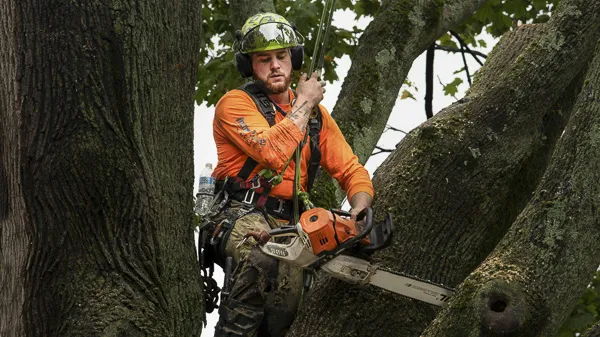 Crane Hire for Tree Work and Arborists in the Southern Highlands