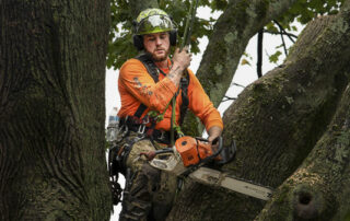 local crane hire for arborists
